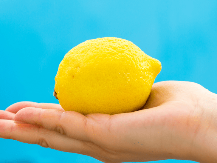 lemon in hand, the size of a baby at 14 weeks pregnant